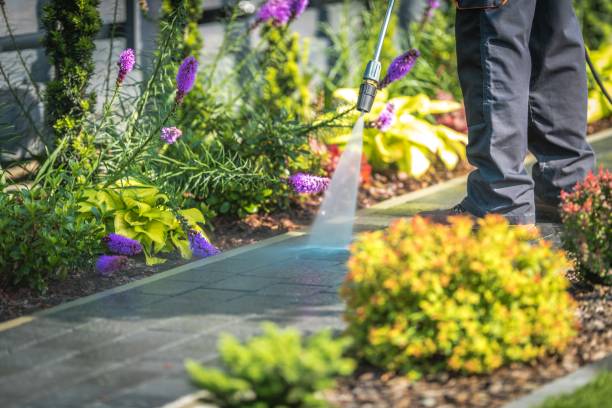 Professional Pressure Washing Services in Mulberry, FL