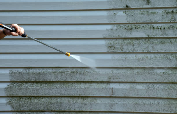 Best Building Exterior Washing  in Mulberry, FL